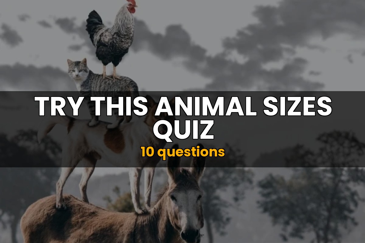 Animal Sizes Quiz Animal Trivia